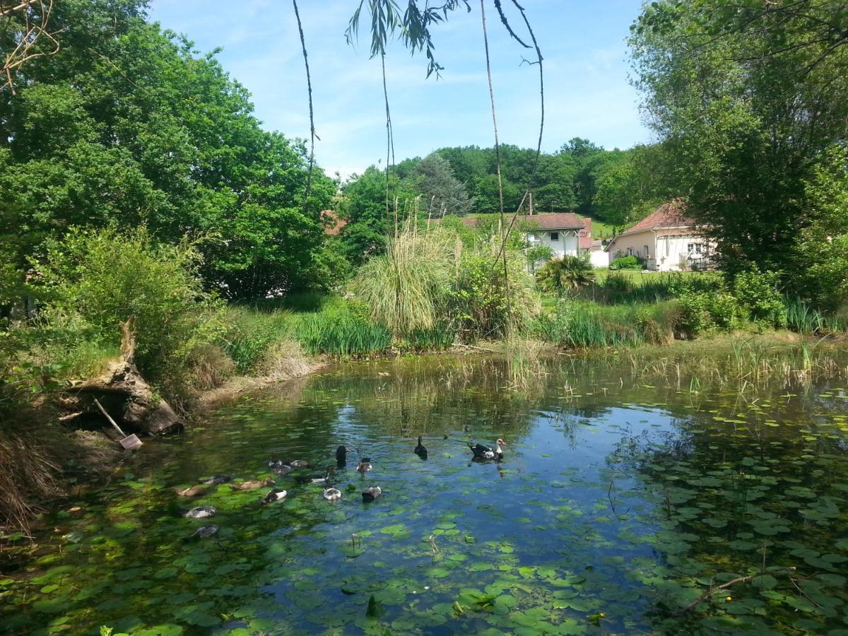 De Couleurs Et D'Eau Fraiche Bed & Breakfast Navarrenx Luaran gambar
